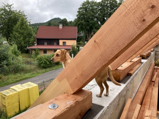 Projekt a stavbyvedoucí novostavby rodinného domu, Jablonné v Podještědí (2022)